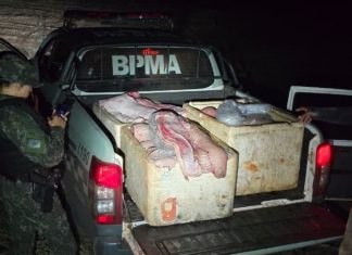 Quase 350 kg de pirarucu são flagrados com homens perto de reserva indígena no Tocantins