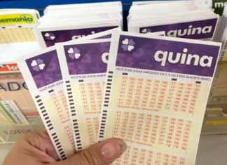 Quina: bolão registrado em Palmas leva mais de R$ 2,5 milhões