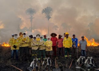 Mestres do fogo: as queimadas que salvam vidas no Cerrado