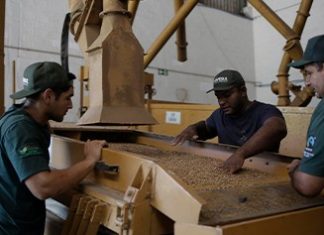 SomosCoop: um movimento que transforma o cooperativismo em escolha consciente