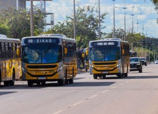 Linhas de ônibus de Palmas terão reforço para atender candidatos que vão fazer o Enem 2025; confira
