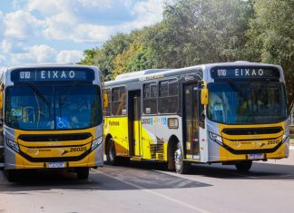 Palmas terá linha exclusiva de ônibus para os cemitérios neste Dia de Finados; veja rotas