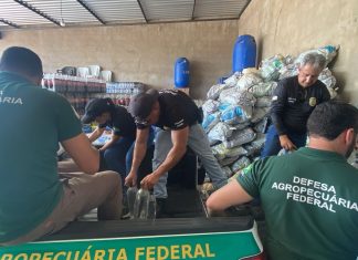 Operação fecha fábrica clandestina de cachaça e apreende dezenas de litros de bebidas alcoólicas sem registro