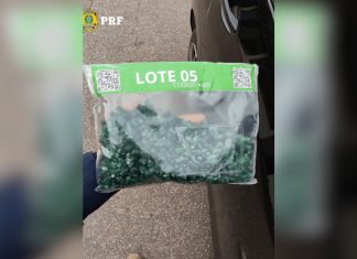 PRF apreende quase 1 kg de pedras preciosas com documentação irregular no interior do TO