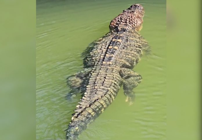 foto-e-montagem-vertical-84-1