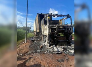 Caminhão com 28 toneladas de carne pega fogo na BR-153 no Tocantins