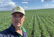 2ª safra no TO exige estratégia diante de desafios no campo, avalia Aprosoja