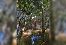 Bombeiros fazem buscas por homem desaparecido na zona rural de Aragominas