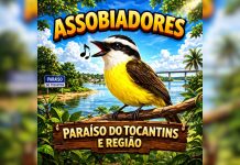 Brincadeira do ‘assobio’ lota grupo de aplicativo no TO e viraliza nas redes; VÍDEO