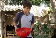 Menino de 11 anos que montou granja no TO faz doação para crianças carentes e inspira colegas