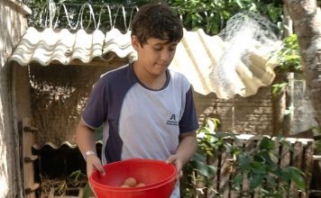 Menino de 11 anos que montou granja no TO faz doação para crianças carentes e inspira colegas