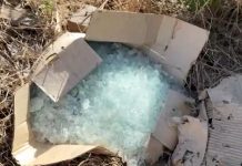 Linhas são recolhidas pela polícia no local onde jovem morreu após ser atingido no pescoço