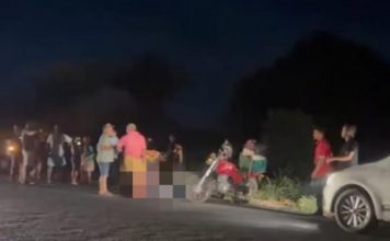Motociclista morre após se envolver em acidente com cavalo na TO-201