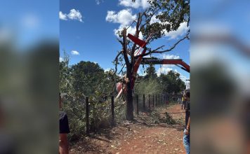 Saiba qual é o modelo e quanto vale o helicóptero de Henrique e Juliano que caiu em fazenda no Tocantins