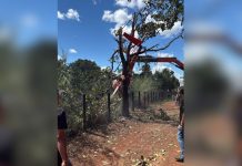 O que se sabe sobre a queda do helicóptero da dupla Henrique e Juliano em fazenda no Tocantins