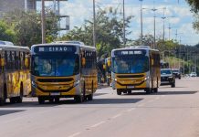 Prefeitura abre licitação para corredor de ônibus com pontes e obras viárias em Palmas