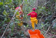 Pescadores encontram corpo em decomposição preso em galhos em rio no TO, dizem bombeiros