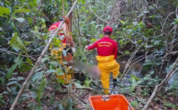 Pescadores encontram corpo em decomposição preso em galhos em rio no TO, dizem bombeiros