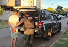Operação apreende carro de luxo e bloqueia R$ 1,7 milhão em operação contra o tráfico no TO