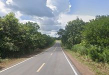 Uma pessoa morre após caminhonete sair da pista, bater em árvore e pegar fogo