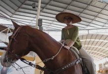 Do medo de altura ao trauma com cavalos: Sandra Annenberg revela desafios enfrentados durante gravações no México