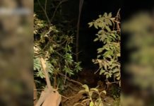 Trabalhador que morreu em acidente na curva de serra em Taquaruçu é identificado