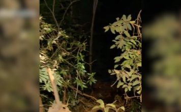 Trabalhador que morreu em acidente na curva de serra em Taquaruçu é identificado