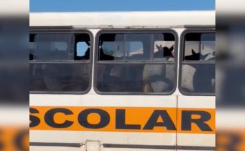 Cavalos são transportados dentro de ônibus e vídeo repercute nas redes sociais