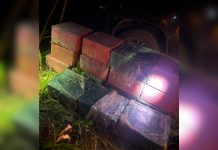 Força-tarefa encontra quase meia tonelada de cocaína enterrada e prende dois suspeitos no interior do TO