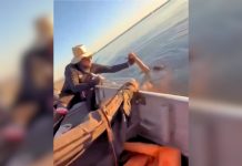 Homem é salvo de afogamento por pescadores no Lago de Palmas; veja vídeo