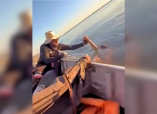 ‘Deus enviou a gente para aquele local’, diz pescador após resgate de homem no lago de Palmas