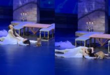 Gato invade palco e rouba a cena durante apresentação de Romeu e Julieta na Turquia
