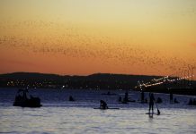Temperatura pode chegar a 37°C em Palmas ao longo da semana