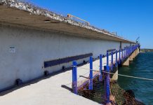 Ponte Siqueira Campos terá decks de contemplação e academia com aditivo de R$ 12,9 milhões