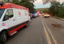 Mulher de 69 anos morta em acidente na BR-010 é identificada