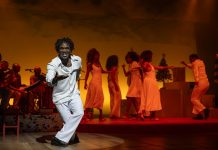 Alegria resiliente do samba de Almir Guineto rege o musical ‘Pra te ver feliz’