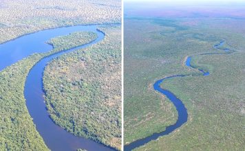 Imagens de drone mostram a beleza dos rios que cortam a maior ilha fluvial de água doce do mundo