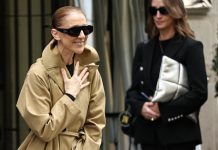 Céline Dion chega à França para retorno aos palcos após 6 anos