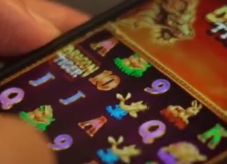 MP denuncia 9 pessoas por esquema com ‘Jogo do Tigrinho’ e lavagem de dinheiro no Tocantins