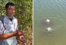 Pescador mostra lago repleto de piranhas no TO e brinca: ‘Não é bom banhar aqui’