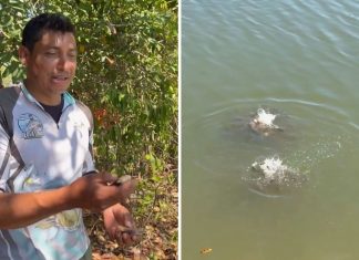 Pescador mostra lago repleto de piranhas no TO e brinca: ‘Não é bom banhar aqui’
