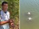 Pescador mostra lago repleto de piranhas no TO e brinca: ‘Não é bom banhar aqui’