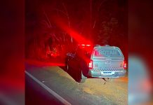 Homem morre em confronto após tentar fugir de abordagem em rodovia, diz PM