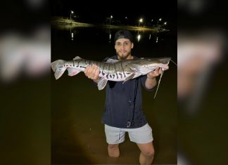 Jovem pesca surubim-cachara em lago e se surpreende com tamanho: ‘Achei que era um jacaré’
