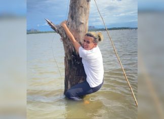 Influenciadora fica pendurada em tronco durante pescaria em rio no TO e diverte internautas: ‘Canoa não tem freio’; VÍDEO
