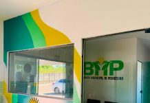 Entenda como vai funcionar a moeda ‘Pequi’ lançada por cidade no TO