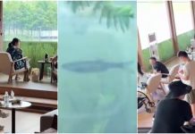 VÍDEO: Livraria ‘subaquática’ na China atrai turistas e moradores para ver fundo de lago