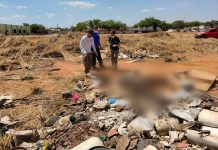 Corpo esquartejado é encontrado dentro de sacos em área verde na região sul de Palmas