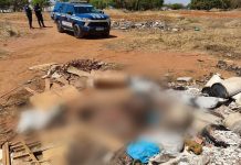 Corpo esquartejado achado dentro de sacos é identificado em Palmas