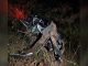 Motorista de carro de passeio morre em acidente com carreta na TO-201